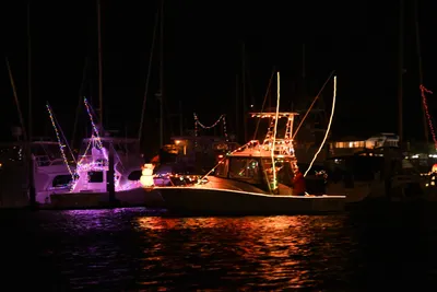 DSC_2457 (Large).JPG